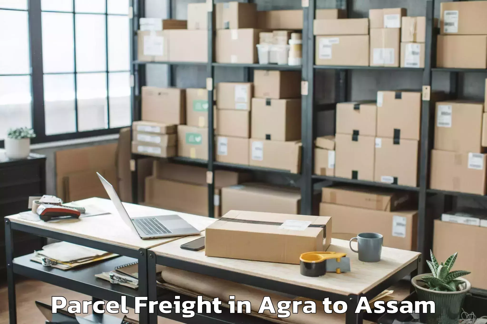 Affordable Agra to Laharighat Parcel Freight